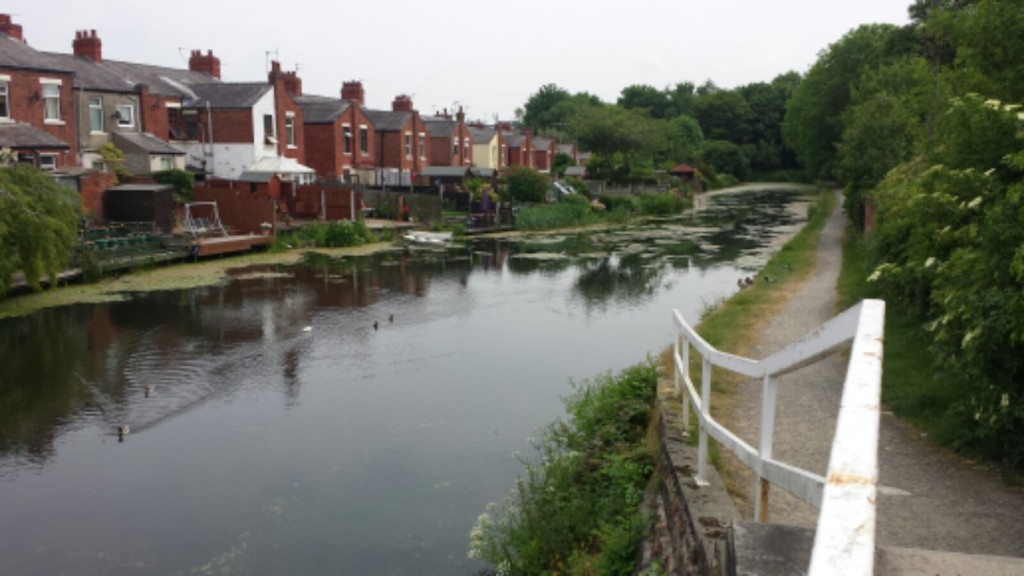 20160607_124424-1600x900