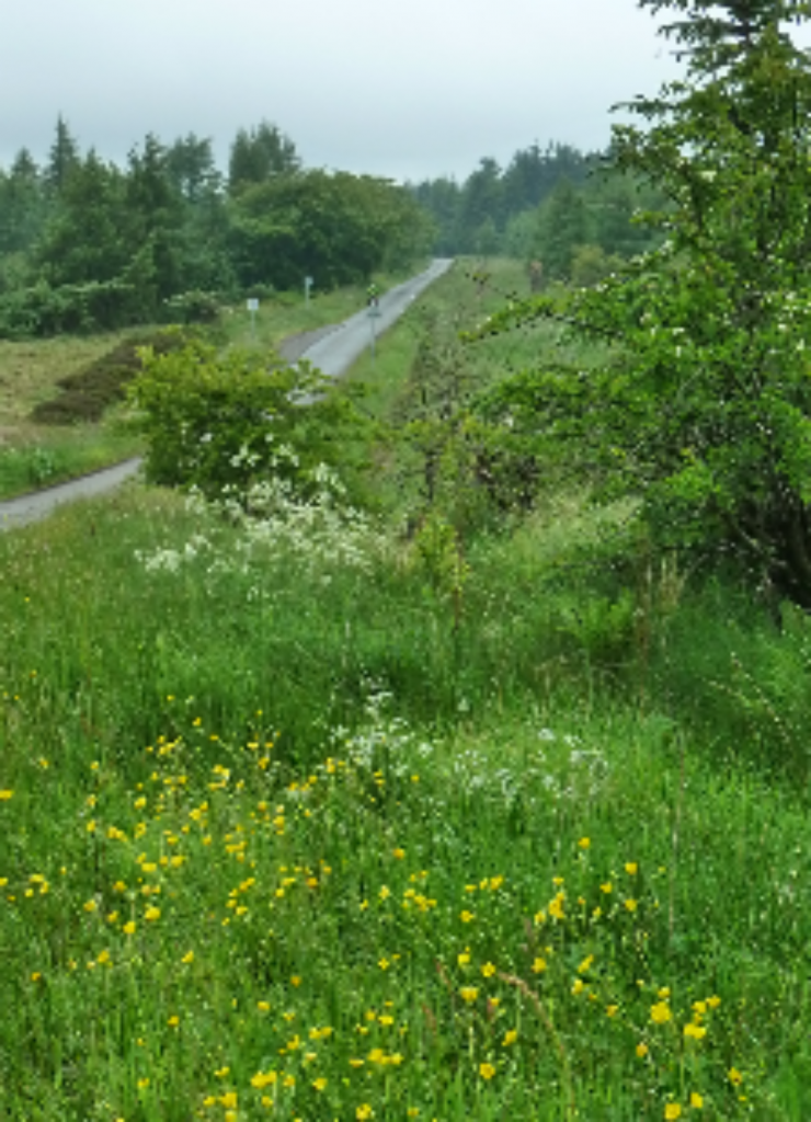 20160613_202331-1200x1661