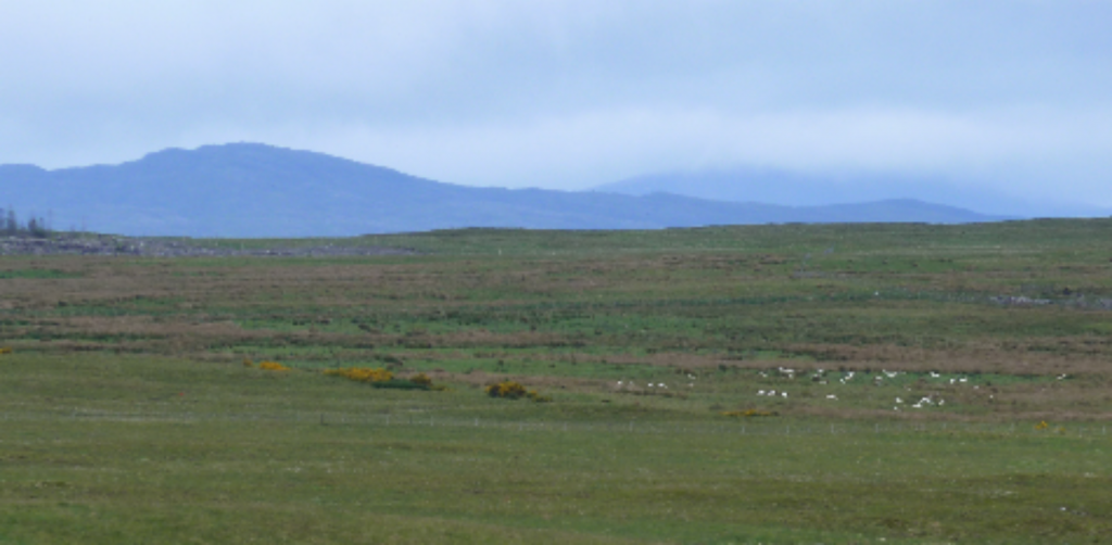 20160620_191825-1600x785