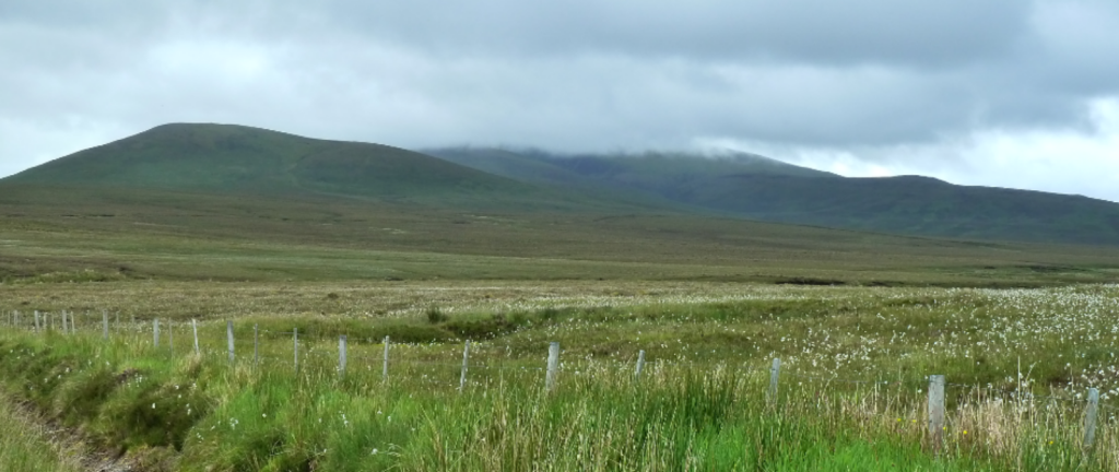 20160620_200321-1600x675