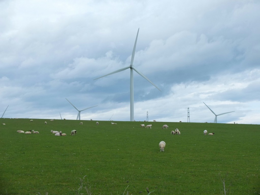 The offending windfarm 