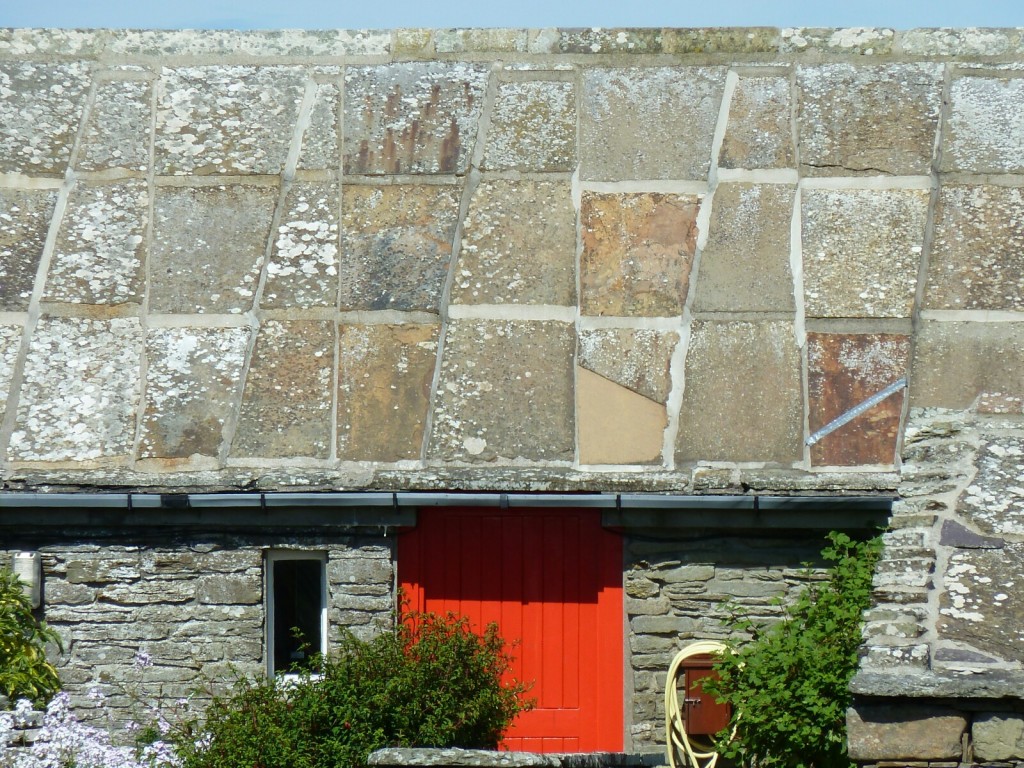 P1090795-1600x1200